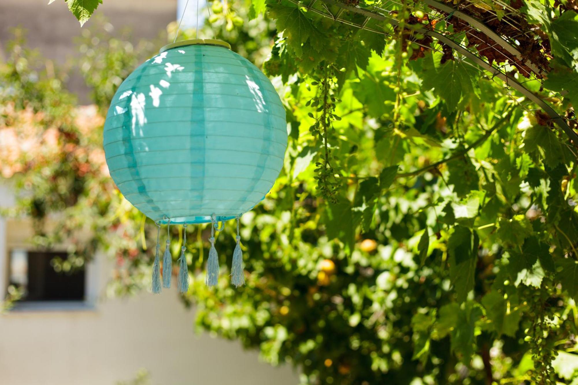 Garden *