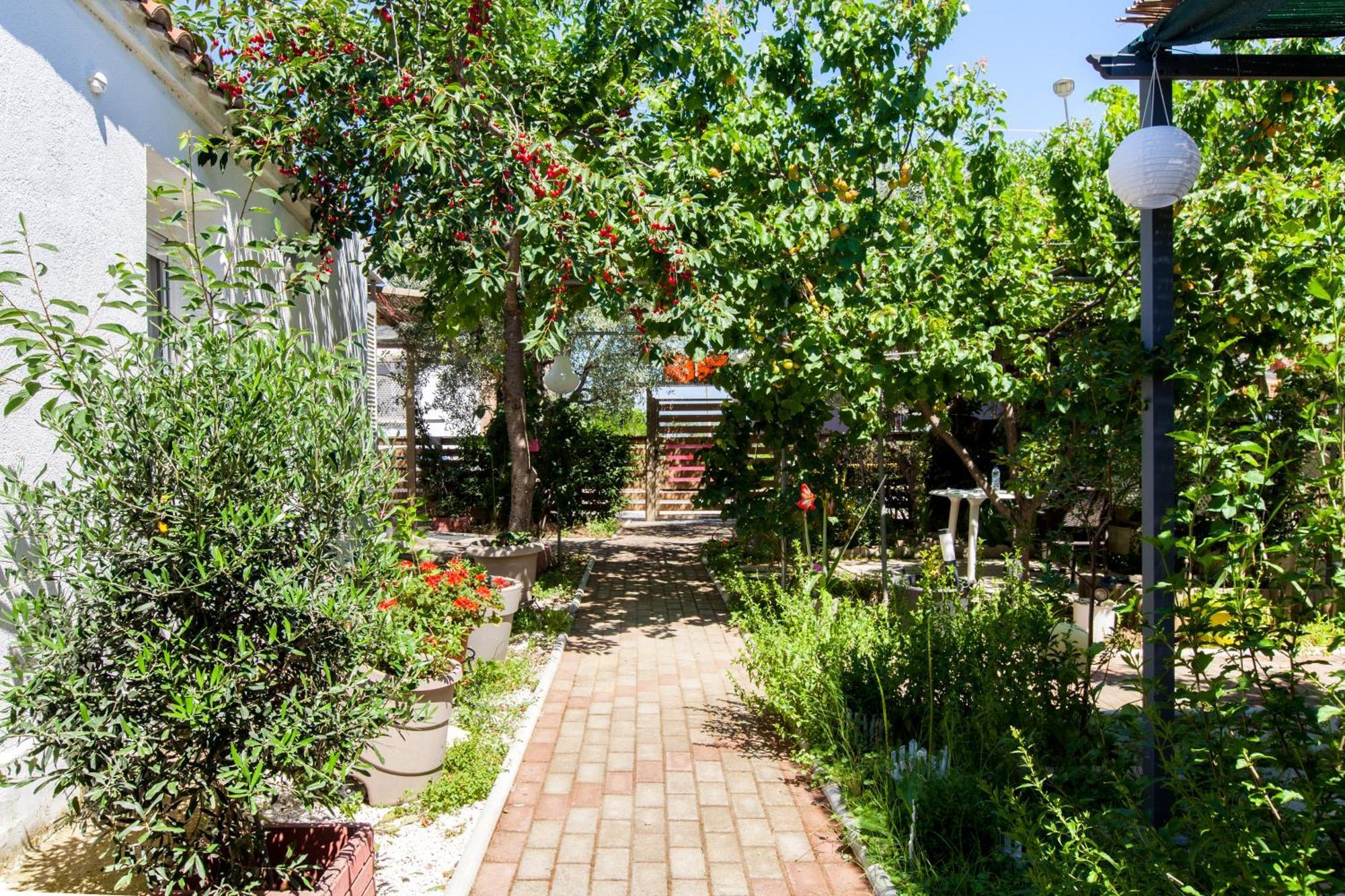 Garden * Fanárion